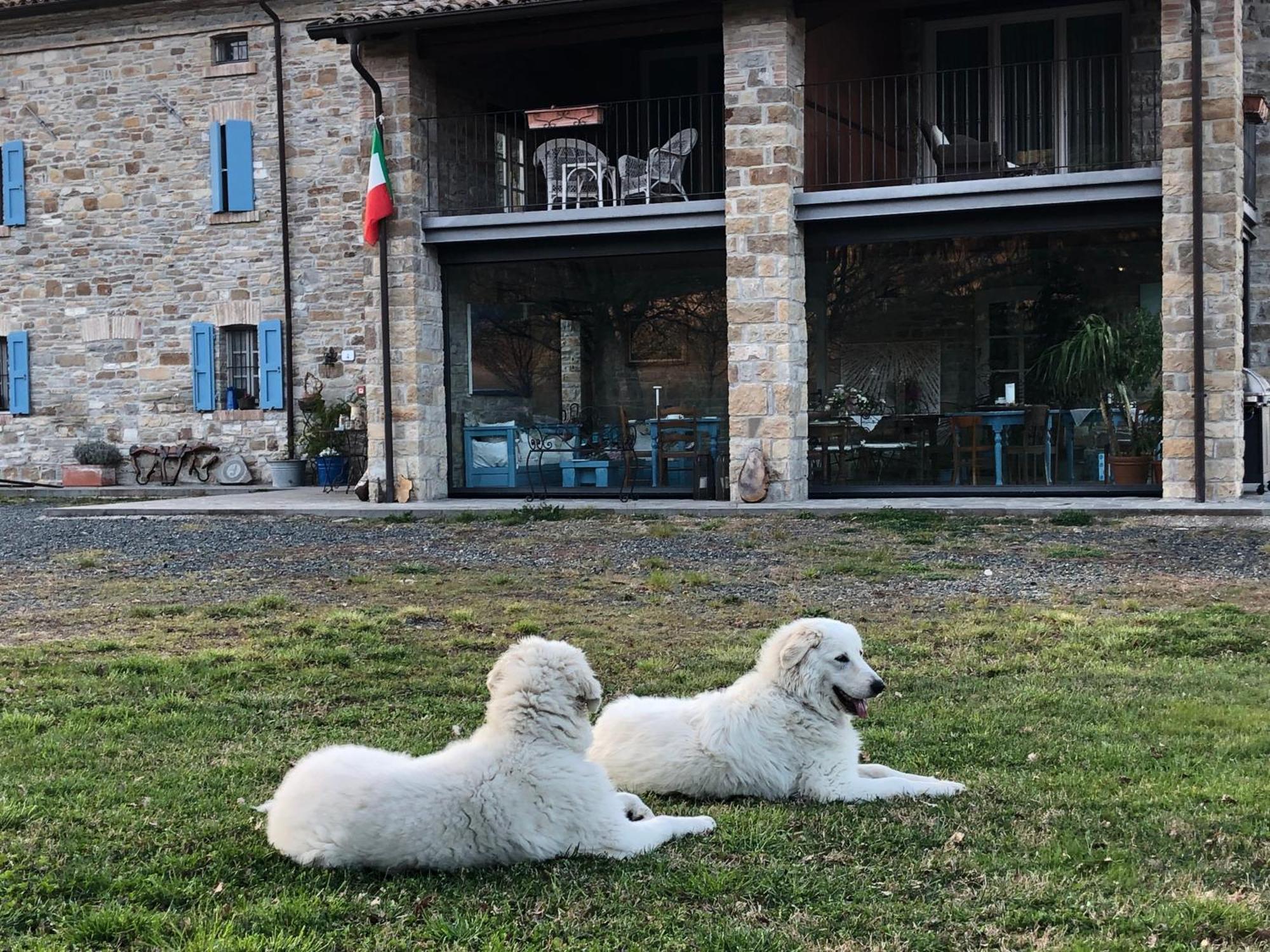 La Locanda Nel Vento Calestano Exterior foto